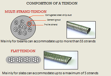 composition of a tendon